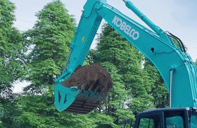 1657526636759538.gif ttl_pic06.gif